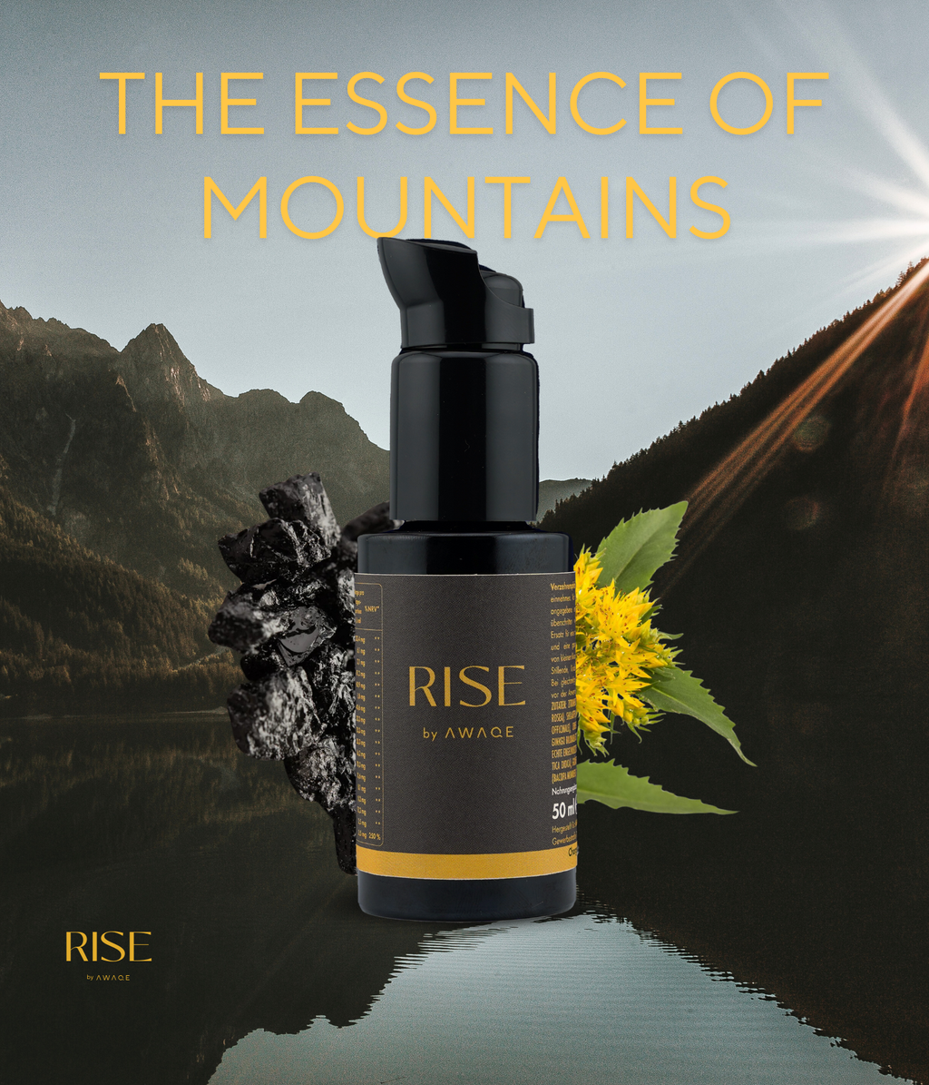 RISE - Derzeit nicht lieferbar. Wird bei Bestellung schnellstmöglich nachgeliefert.